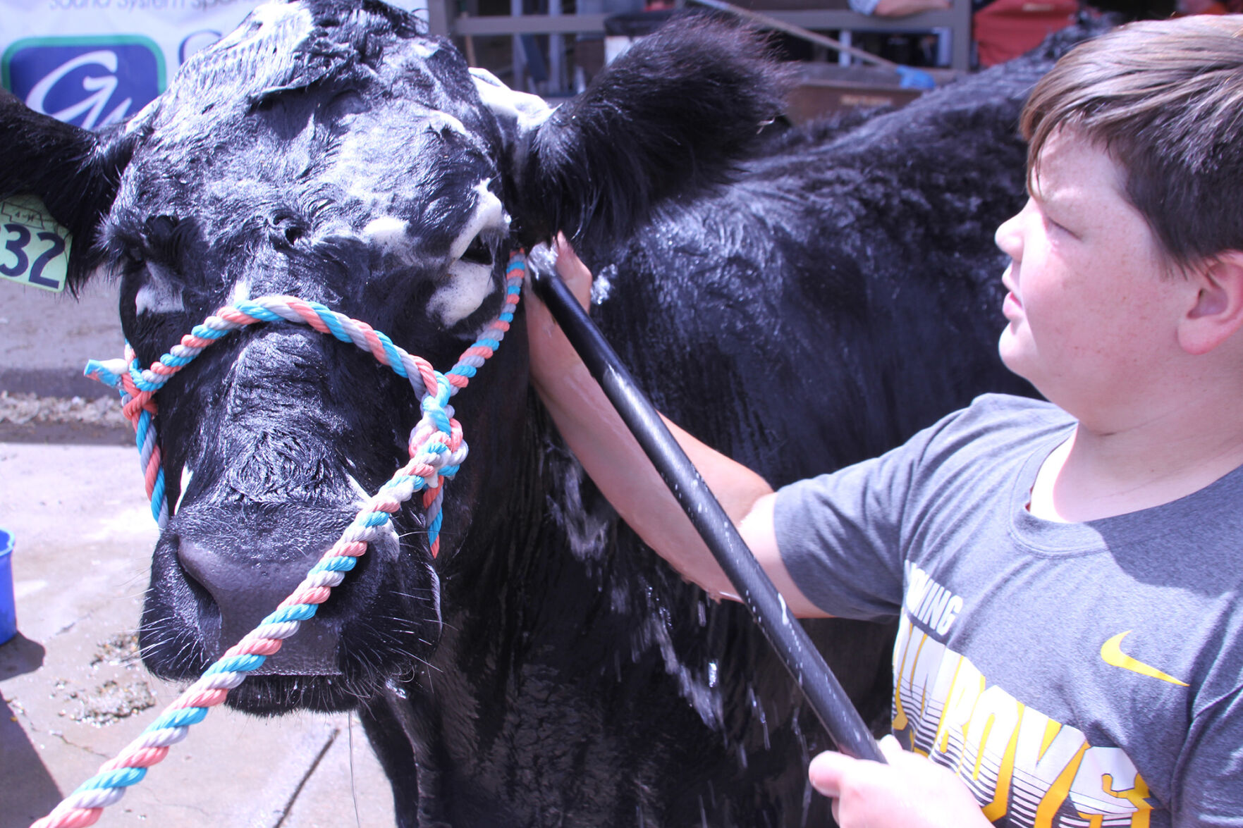 PHOTOS: Scenes from the Scotts Bluff County Fair